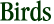 Birds