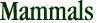 Mammals