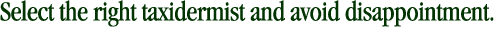 Select the right taxidermist and avoid disappointment